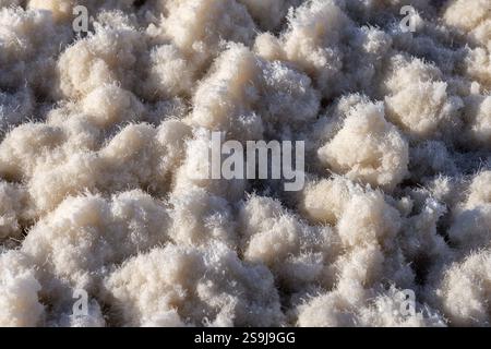Cristaux de sel dans Badwater Basin avec des fibres sortant de la formation Death Valley National Park California Banque D'Images