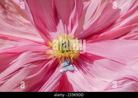 fleur de papier crêpe décorative artistique, vue rapprochée Banque D'Images
