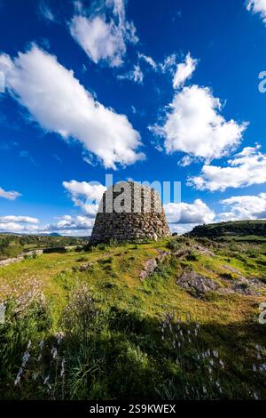 Ruines du bâtiment central de la Nuraghe Su Nuraxi e Pauli, vestiges des colonies nuragiques, 1600-400 av. J.-C. Seulo Sardaigne Italie FB 2024 1439 Banque D'Images