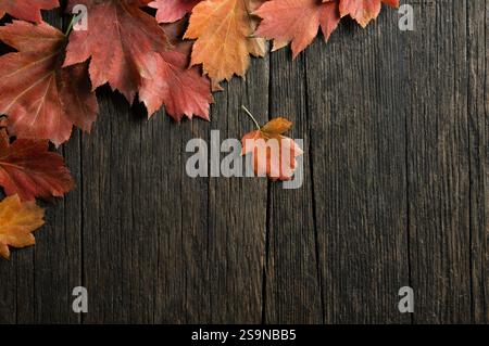 Feuilles d'automne de divers arbres, feuilles multicolores sur table en bois, arrière-plan coloré, espace de copie pour le texte Banque D'Images