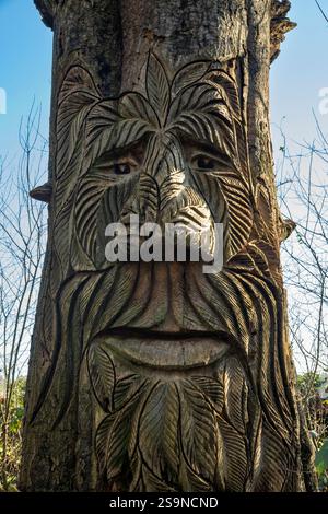 Tronc d'arbre sculpté à Delamere Forest dans le Cheshire, Angleterre. Banque D'Images