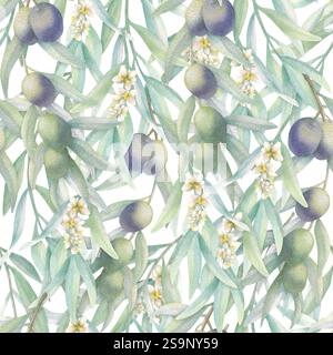 Branches d'olivier avec des feuilles, des fruits et des fleurs dans un modèle sans couture de style réaliste. Illustration isolée d'aquarelle de verdure botanique dessinée à la main avec des olives vertes et noires pour l'emballage, textile. Banque D'Images