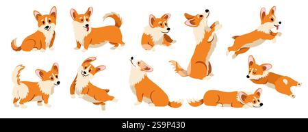 Chien corgi mignon. Chiot drôle de dessin animé, animaux domestiques adorables chiens dans différentes poses et situations de mutie, mascottes comiques de chiens gallois. Vecteur plat Illustration de Vecteur