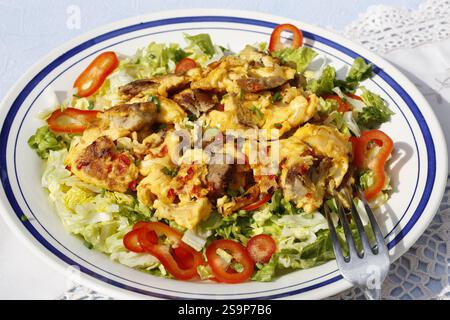 Cuisine souabe, gruau de chat, restes, utilisation des restes, viande avec oeuf, œufs brouillés souabes, légumes, oignons, disposés sur une assiette, sal Banque D'Images