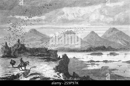 Paysage volcanique près d'Almannagja avec le lac Ãžingvallavatn, Thingvellir, zone de rift géologique, tectonique des plaques, nature, troupeau d'oiseaux, cavalier, ge Banque D'Images