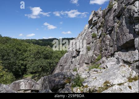 The canyon La Fosse d'Arthour, formed by the the Sonce river, Domfront-en-Poiraie, Departement Orne, parc naturel regional Normandie-Maine, Normandy Stock Photo