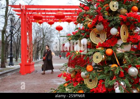 Décorations chinoises festives, lanternes de papier rouge, pièces de monnaie de jouet et mandarines sur un sapin dans le parc de la ville sur fond de femme floue. Célébrité du nouvel an lunaire Banque D'Images