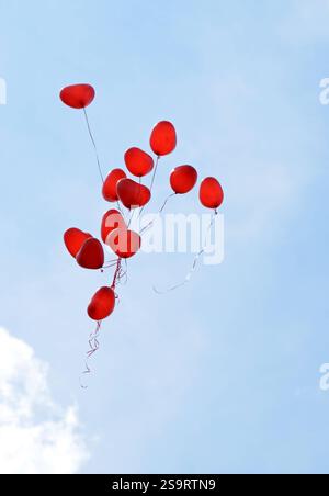 02.06.2016 Luftballons Deutschland/ Sachsen Anhalt/ Altmark/ Altmarkkreis Salzwedel/ Stadt Klötze/ Ortsteil Kunrau/ Am Schloss/ kurz nach einer Trauung/ rote Luftballons in Herzform steigen in den blauen Himmel auf *** 02 06 2016 ballons Allemagne Saxe Anhalt Altmark Altmarkkreis Salzwedel Town Klötze district Kunrat the Castle à la cérémonie de mariage dans le ciel bleu Banque D'Images