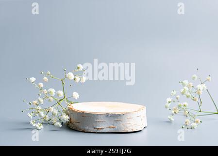 Poduim coupé en bois vide et fleurs blanches de gypsophila pour l'affichage du produit. Piédestal en bois de bouleau avec décor floral sur fond gris neutre, modèle. Banque D'Images