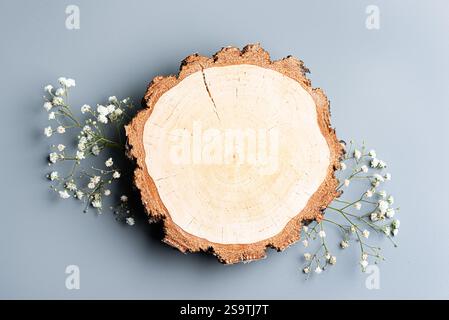 Poduim coupé en bois vide et fleurs blanches de gypsophila pour l'affichage du produit, vue de dessus. Plateau rond en bois de bouleau avec décor floral sur fond gris neutre Banque D'Images