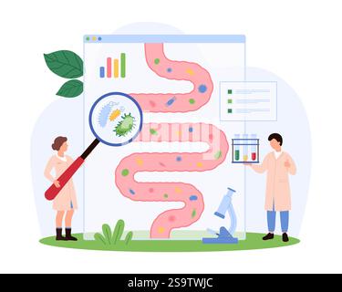 De minuscules personnes examinant la flore intestinale bénéfique, se concentrant sur la santé digestive et l'équilibre du microbiome, explorant les bactéries impacts positifs illustration vectorielle. Illustration de Vecteur