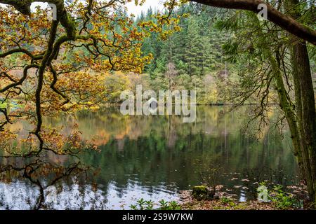 Boathouse sur Loch Ard avec Loch Ard Forest affichant les couleurs d'automne dans les Trossachs, Écosse, Royaume-Uni Banque D'Images