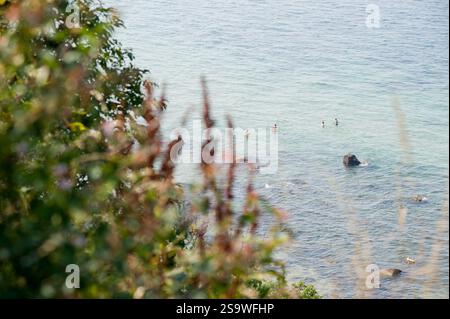 Personnes nageant dans la mer depuis Coastal View Banque D'Images
