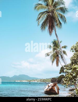 Photographie intrigante d'un naufrage sur les rives de Vieques, Porto Rico Banque D'Images