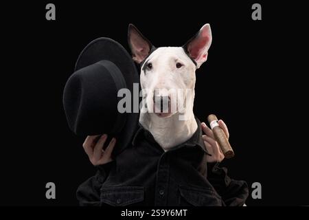 Un Bull Terrier blanc dans une tenue noire et chapeau tient un cigare sur un fond sombre, l'air espiègle. Le gros plan souligne son expressif Banque D'Images