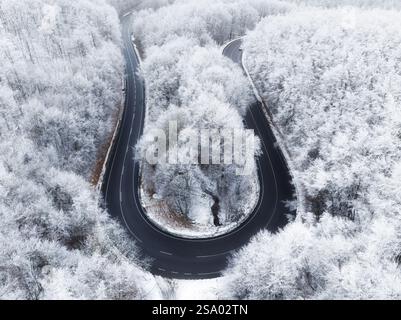 Winter Wonderland vue aérienne : rues enneigées capturées par Drone avec route et forêt glacée Banque D'Images