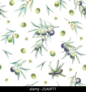 Branches d'olivier avec des feuilles, des fruits et des fleurs dans un modèle sans couture de style réaliste. Illustration isolée d'aquarelle de verdure botanique dessinée à la main avec des olives vertes et noires pour l'emballage, textile. Banque D'Images