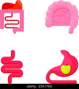 Les icônes de concept de digestion définissent le vecteur de dessin animé. Anatomie digestive humaine. Concept médical. Les icônes de concept de digestion définissent le vecteur de dessin animé. Anatomie digestive humaine Illustration de Vecteur