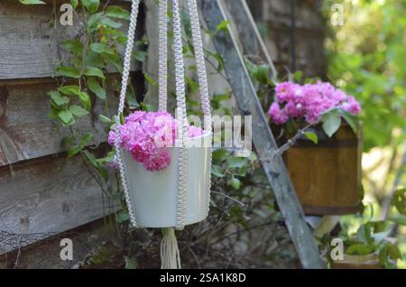 Suspendre des fleurs roses dans une jardinière blanche contre un mur en bois rustique Banque D'Images