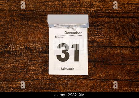 23.01.2025, Jahreskalender 2025 : Kalenderblatt 31. Décembre 2025, Feiertag Silvester 23.01.2025 Jahreskalender 2025 23.01.2025 Jahreskalender 2025 *** 23 01 2025, calendrier annuel 2025 page de calendrier 31 décembre 2025, Saint Sylvestre 23 01 2025 calendrier annuel 2025 23 01 2025 calendrier annuel 2025 Banque D'Images