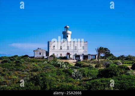 Le phare de Capo Ferro, Faro di Capo Ferro, construit en 1858, sur la côte d'Emeraude, surplombant la rue de Bonifacio. Banque D'Images