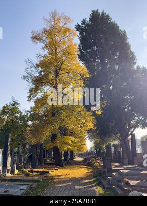 Prague, république tchèque - 17 octobre 2022. Cimetière KRC (Nusel) en automne avec des feuilles d'arbre dorées Banque D'Images