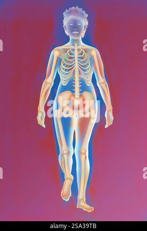 Squelette, illustration squelette, illustration 016889 206 Banque D'Images