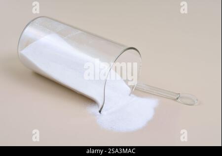 Bicarbonate de sodium nom IUPAC : hydrogénocarbonate de sodium, communément appelé bicarbonate de soude ou bicarbonate de soude, est un composé chimique de formule Banque D'Images