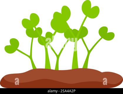 Plusieurs petites plantes vertes aux tiges épaisses poussent à partir de sol brun. Petites plantes vertes poussant à partir de sol brun sur fond blanc Illustration de Vecteur
