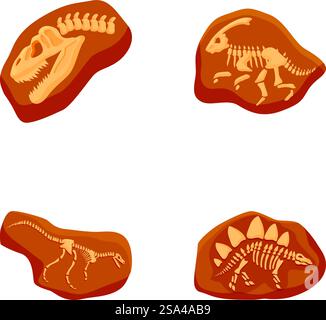 Collection d'illustrations détaillées de fossiles de squelettes de dinosaures à usage éducatif ou artistique. Ensemble de fossiles de dinosaures isolés sur fond blanc Illustration de Vecteur