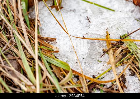 Fond neige blanche froide fondant sur l'herbe verte. Arrière-plans et textures printanières avec de la neige et de l'herbe verte sous elle. Banque D'Images