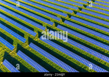 Vue aérienne sur les panneaux solaires bleus de la centrale photovoltaïque / parc solaire pour la fourniture d'électricité Banque D'Images