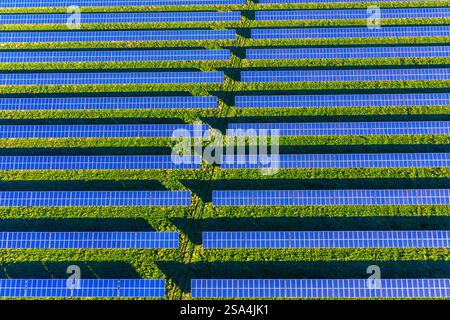 Vue aérienne sur les panneaux solaires bleus de la centrale photovoltaïque / parc solaire pour la fourniture d'électricité Banque D'Images