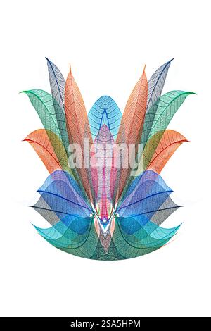 Feuilles squelettes multicolores disposées sur fond blanc Banque D'Images