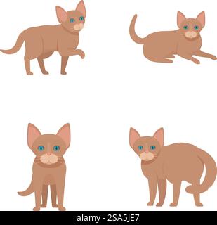 Quatre charmantes illustrations d'un chat sphynx présentant différentes positions et expressions. Ensemble de chats de dessin animé mignons sphynx dans diverses poses Illustration de Vecteur