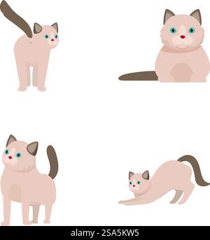 Illustration de quatre chats siamois présentant différentes postures et expressions sur fond blanc. Ensemble de chats siamois de dessin animé mignons dans diverses poses Illustration de Vecteur