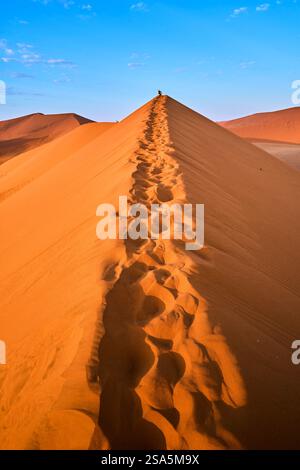 Crête de Dune 45 avec des pas sur le dessus dans la lumière tôt le matin, Sossusvlei, Parc National, Namibie, Afrique Banque D'Images