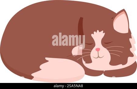 Chat brun et blanc dort profondément, enroulé dans une boule. Chat brun mignon dormant paisiblement avec les pattes cachées dedans Illustration de Vecteur