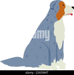 Chien de berger australien avec un manteau bleu merle est assis dans la vue latérale. Blue merle chien berger australien assis sur le côté Illustration de Vecteur