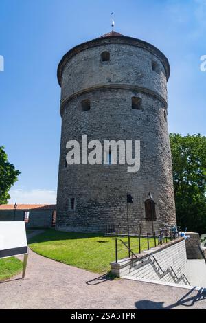 La vieille ville de Tallinn en Estonie en Europe - fortifications de Kiek in de Kök Banque D'Images