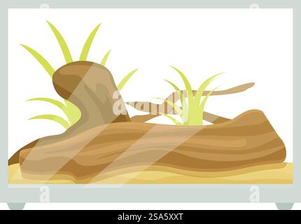 Terrarium en verre avec décoration en bois et plantes vertes pour reptiles est debout sur le sol. Terrarium en verre avec décoration en bois et plantes vertes pour reptiles est debout Illustration de Vecteur