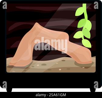 Terrarium en verre vide avec substrat et pont en bois pour reptile. Terrarium vide avec pont en bois en attente d'animal de compagnie reptile Illustration de Vecteur