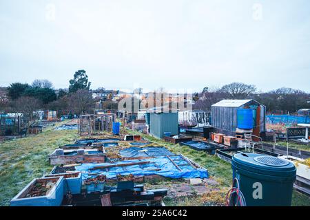 Market Road Allotments, Wickford, Essex, Grande-Bretagne Banque D'Images