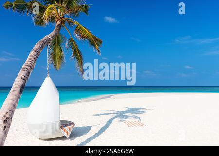Tropical Parfait plage de sable blanc avec cocotiers Banque D'Images