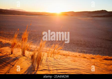 Superbe coucher de soleil sur les dunes de sable rouge dans le désert du Namib Banque D'Images