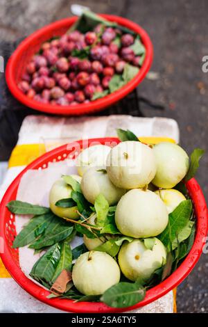 Assortiment de pommes de cire fraîches et d'autres fruits sur le marché étal à Hanoi Vietnam Banque D'Images