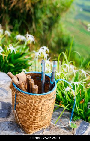 Outils de jardin dans un panier en bambou vietnamien Banque D'Images