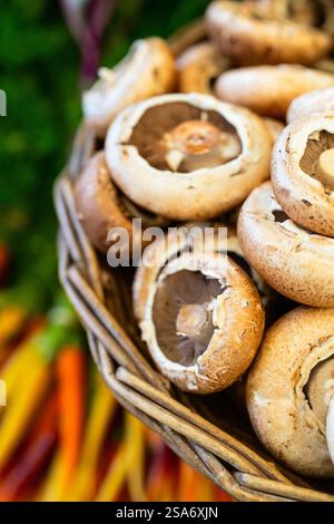 Vue rapprochée des champignons portobello blancs avec des branchies brunes apparentes disposées dans un panier rustique en osier. Banque D'Images
