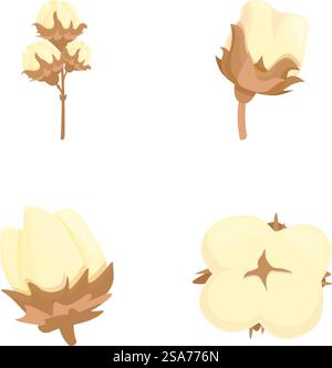 Collection de quatre bolls de coton en différentes étapes, illustrés dans une palette douce et pastel. Ensemble de vecteur de plante de coton isolé sur fond blanc Illustration de Vecteur