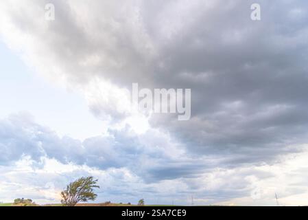 Nuages de pluie et cumulonimbus au-dessus du biome de pampa. Banque D'Images